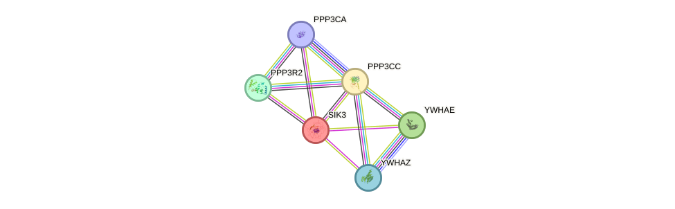 dot-bien-gen.png