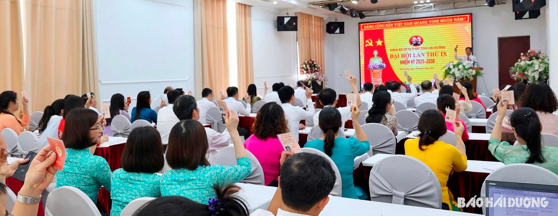 bieu-quyet-stp.jpg