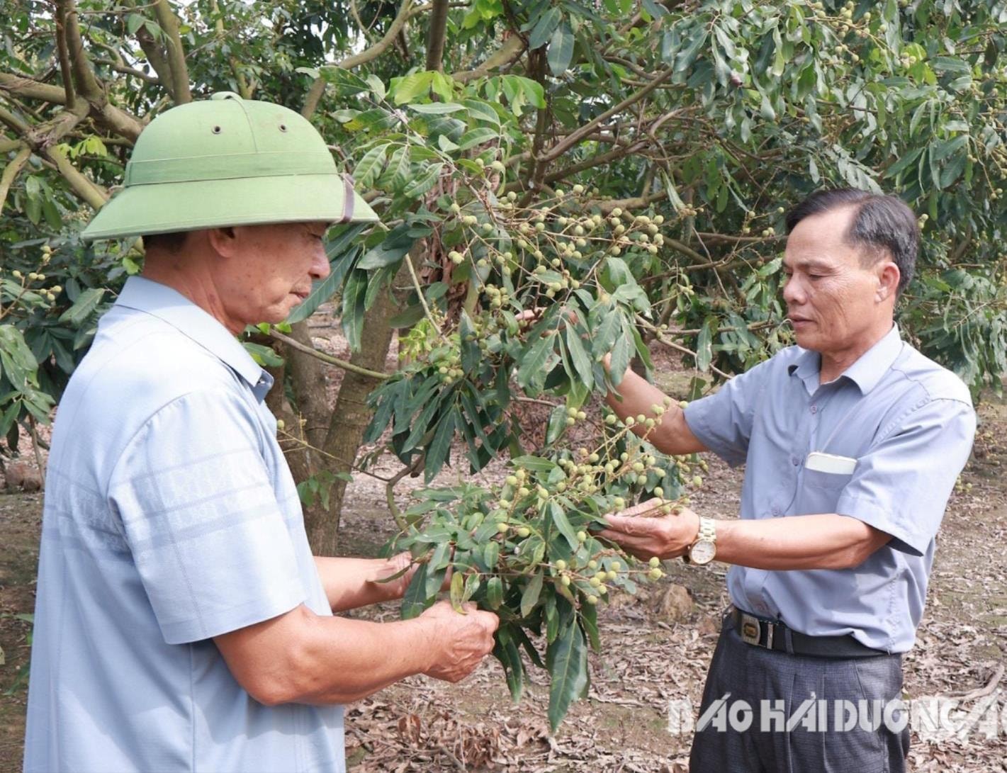 cuu-chien-binh-xa-duc-chinh-2-3-(1).jpg