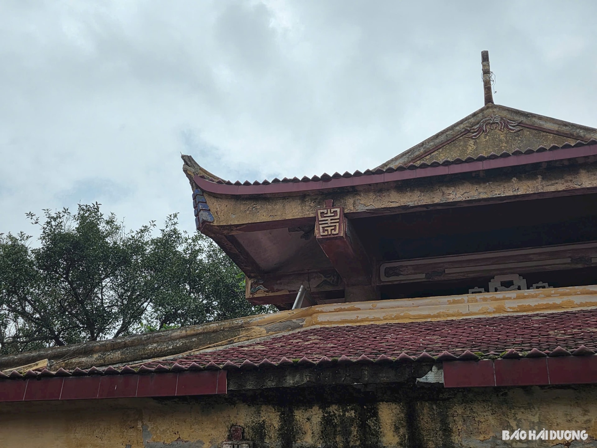 thuy-dinh-3.jpg