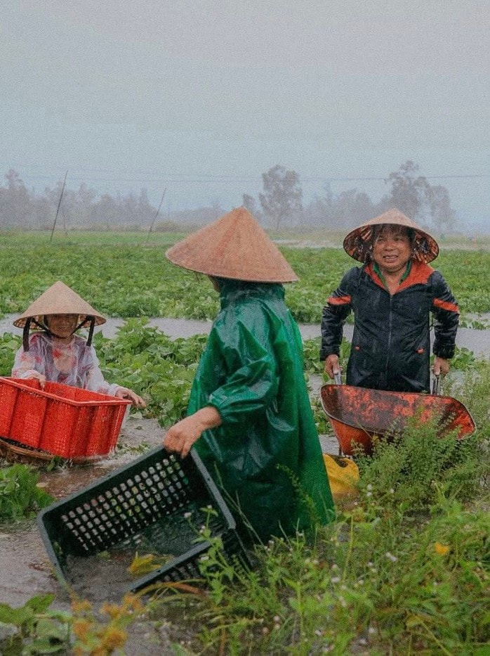 Bão số 1 gây mưa kỷ lục ở Quảng Nam, 16.700 ha lúa, hoa màu ngập nặng - Ảnh 3.