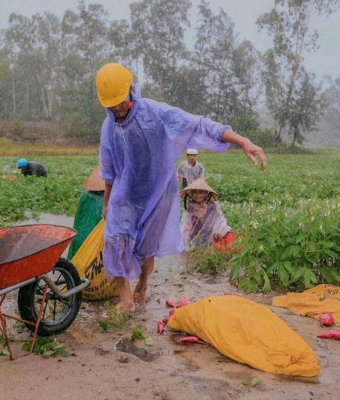 Bão số 1 gây mưa kỷ lục ở Quảng Nam, 16.700 ha lúa, hoa màu ngập nặng - Ảnh 4.