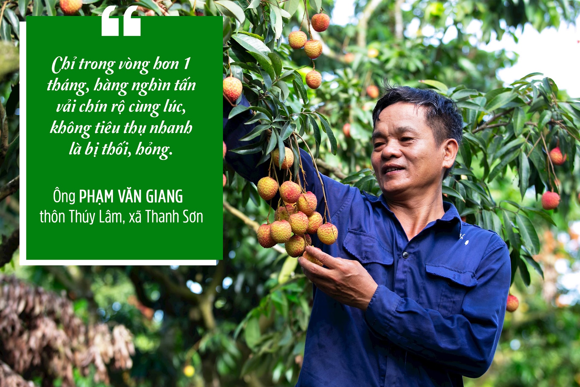 pham-van-giang.jpg