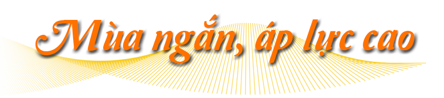 title1(1).png