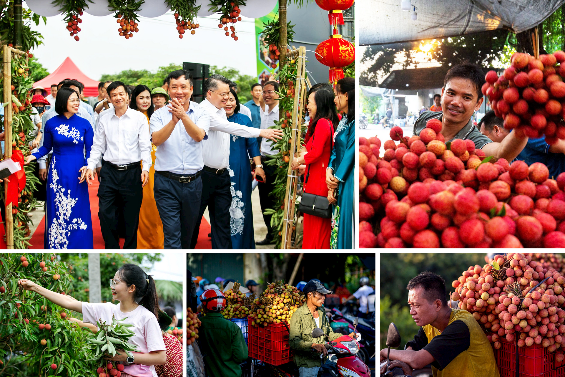 vai-thanh-ha5.png