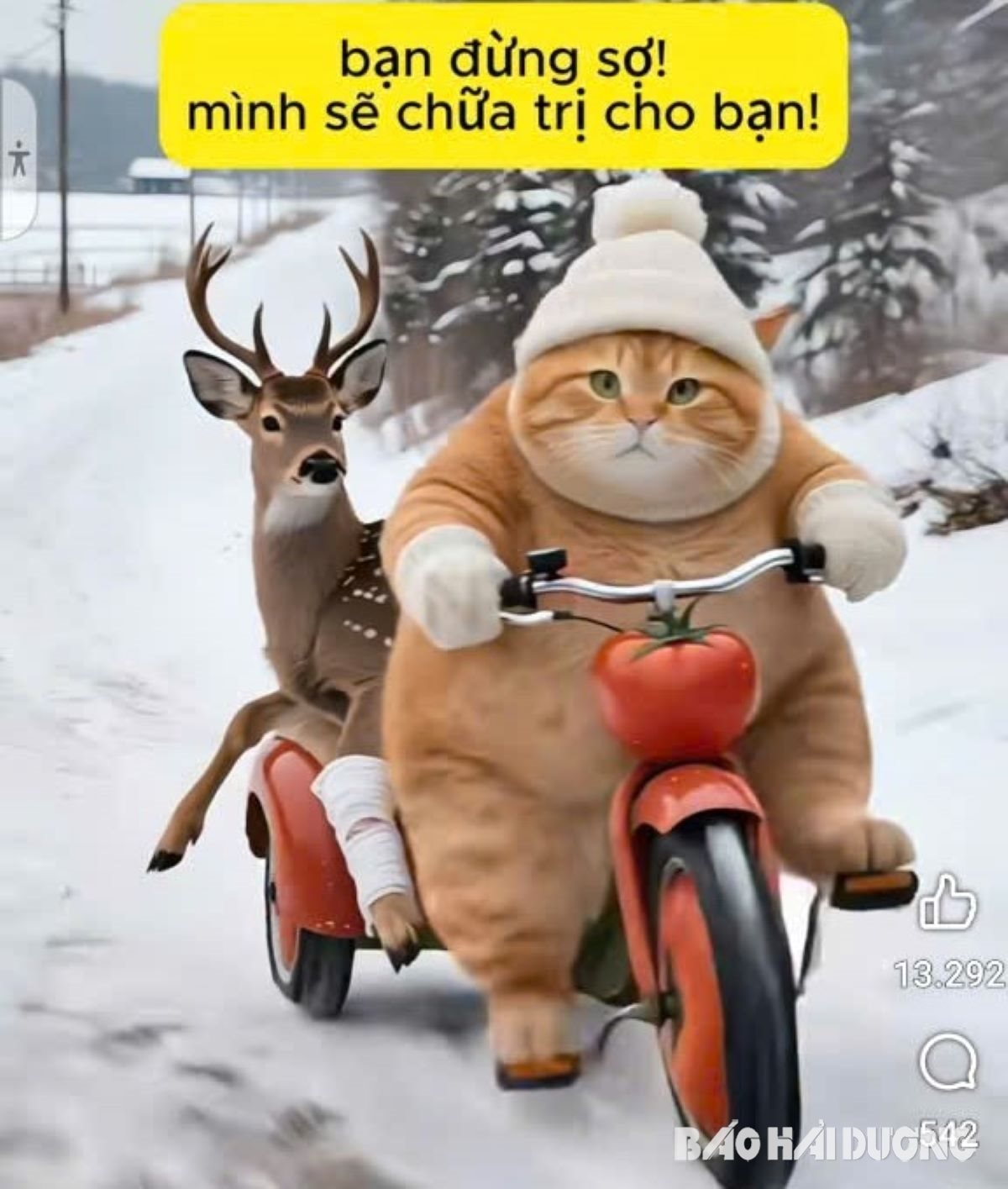 Clip 