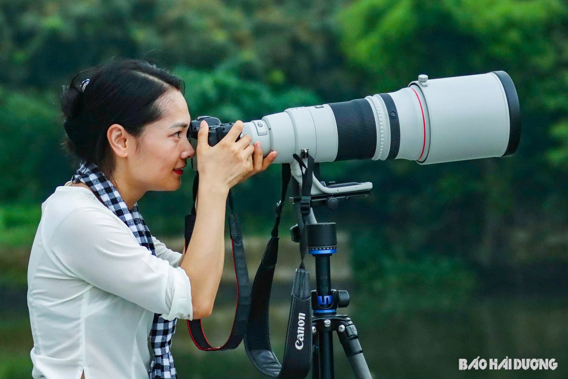 sang-tac-anh1.jpg