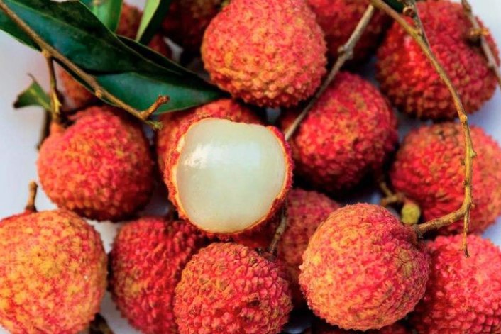 Vỏ vải có thể tận dụng để làm vị thuốc trong nhà. (Ảnh: Sina)