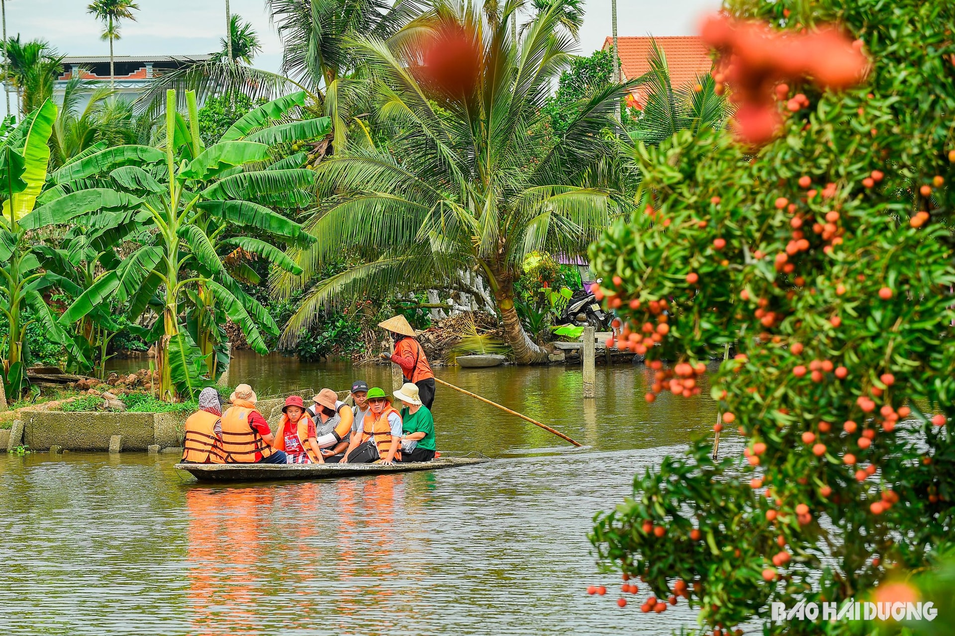 Du khách được trải nghiệm ngồi thuyền trên sông ngắm vải, di chuyển vào bên trong vườn vải