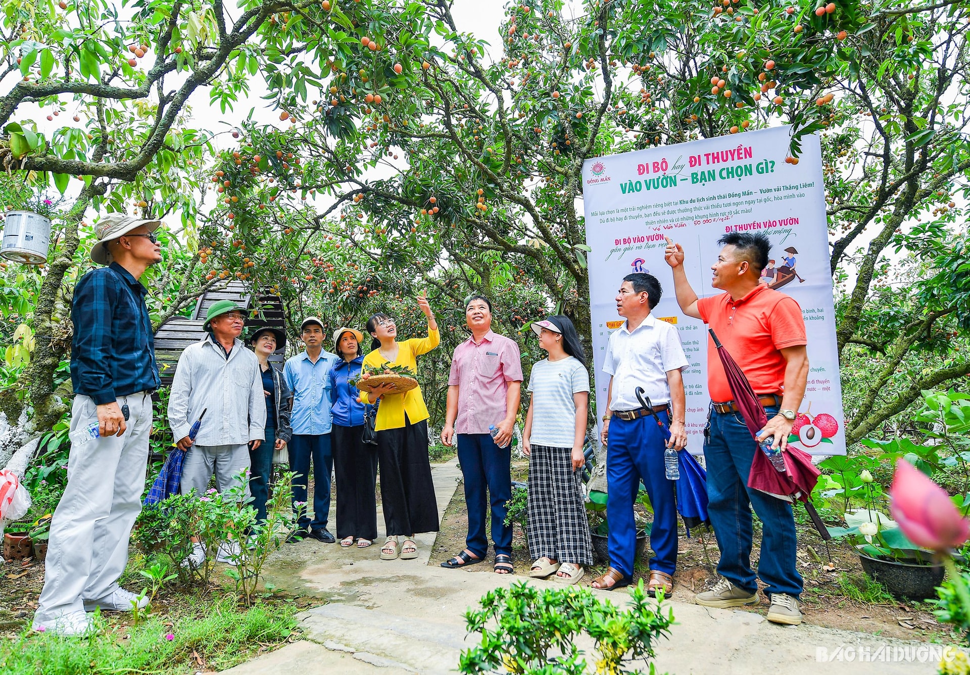 Một trong những nét mới của khu du lịch trong năm nay là có hướng dẫn viên. Trong ảnh: Hướng dẫn viên giới thiệu về khu du lịch, nguồn gốc quả vải thiều Thanh Hà tới du khách
