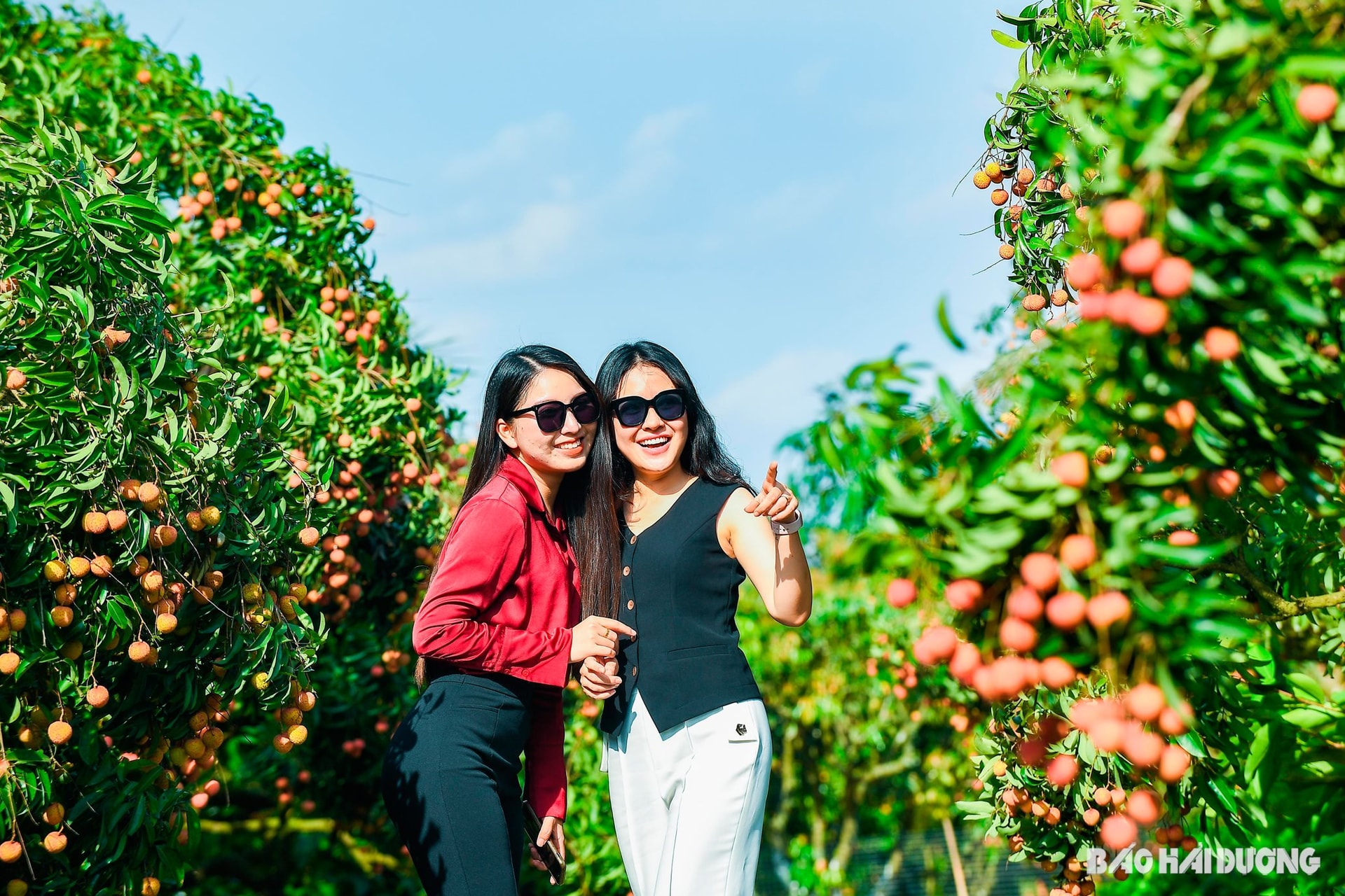 Các chị em lưu lại khoảnh khắc đẹp với vải
