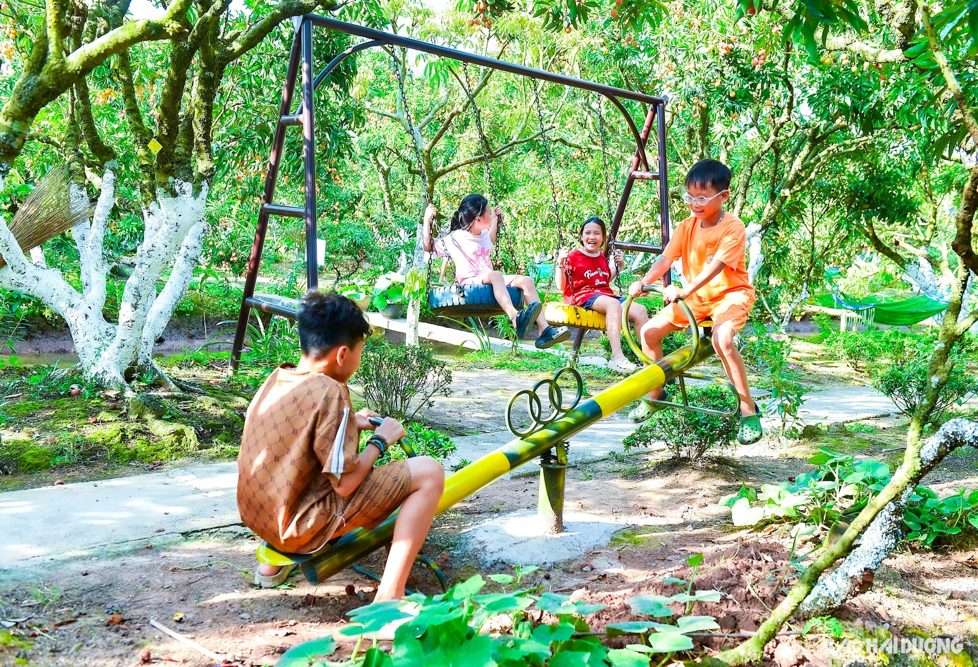 Khu du lịch còn bố trí không gian vui chơi cho trẻ ngay trong vườn vải