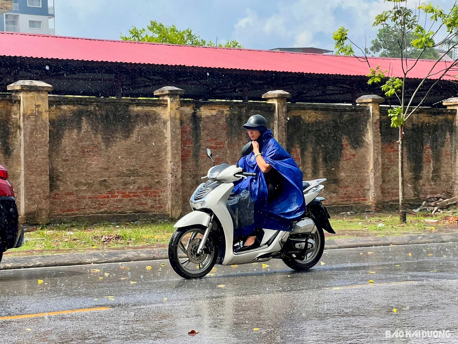 king-of-rain.jpg