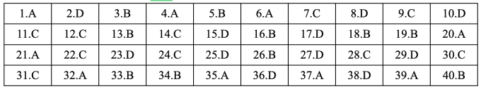 Gợi ý đáp án 48 mã đề Tiếng Anh thi tốt nghiệp THPT 2025 - 21