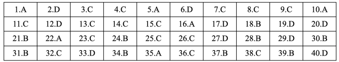 Gợi ý đáp án 48 mã đề Tiếng Anh thi tốt nghiệp THPT 2025 - 28