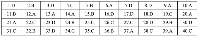 Gợi ý đáp án 48 mã đề Tiếng Anh thi tốt nghiệp THPT 2025 - 25