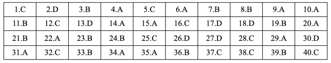 Gợi ý đáp án 48 mã đề Tiếng Anh thi tốt nghiệp THPT 2025 - 14