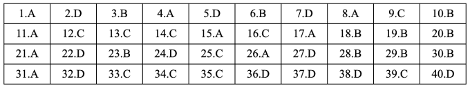 Gợi ý đáp án 48 mã đề Tiếng Anh thi tốt nghiệp THPT 2025