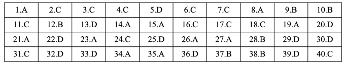 Gợi ý đáp án 48 mã đề Tiếng Anh thi tốt nghiệp THPT 2025 - 34