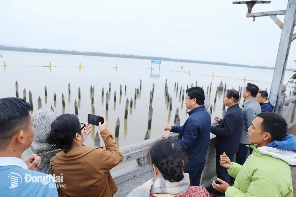bach-dang-giang-5.jpg