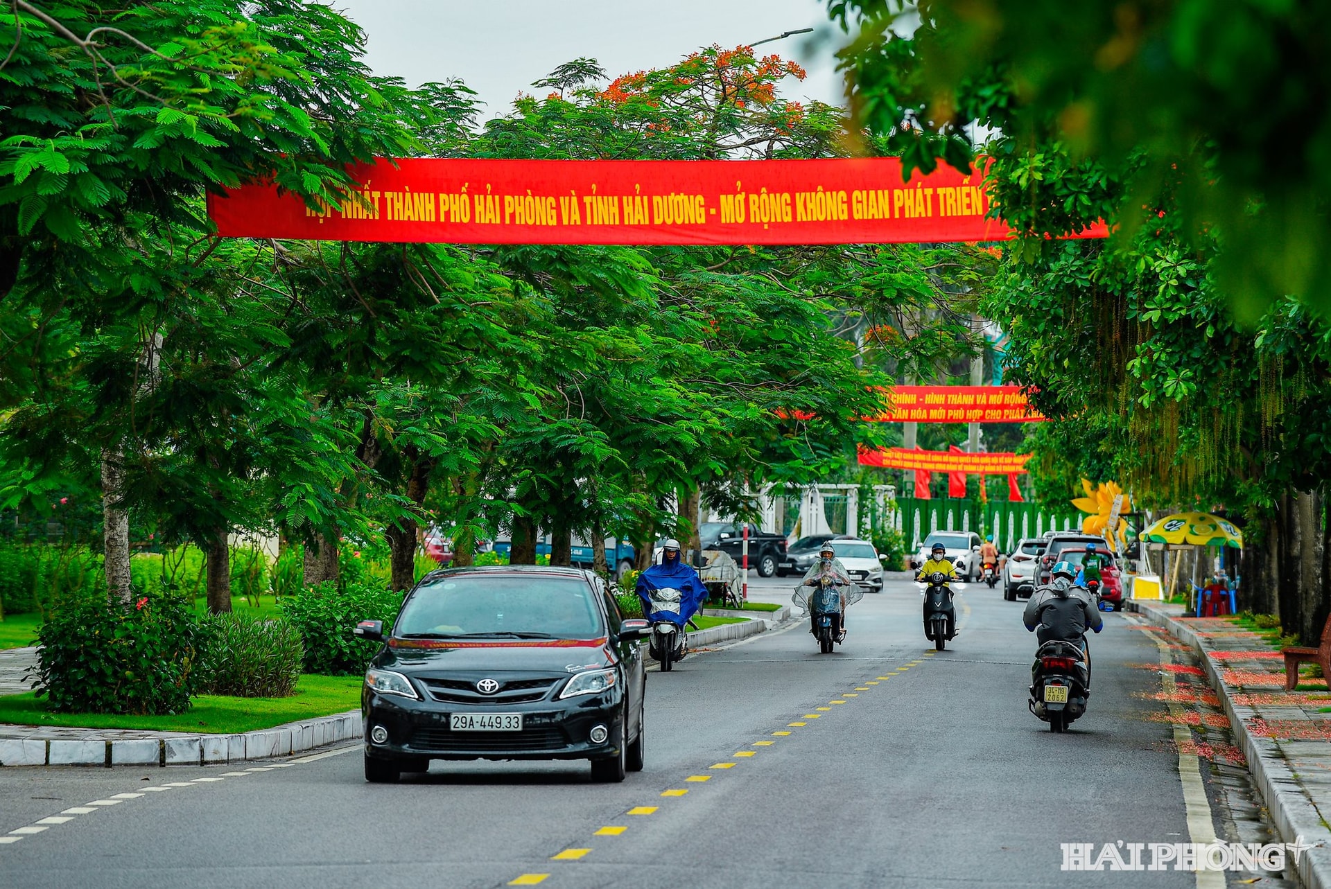 phong-trao-6.jpg