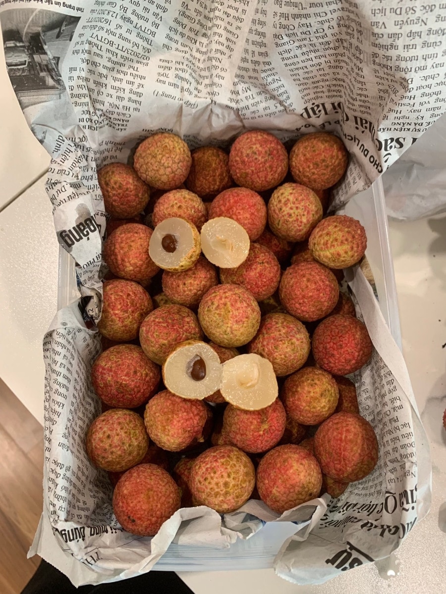meobaoquanvai luonghoaithu2.jpg