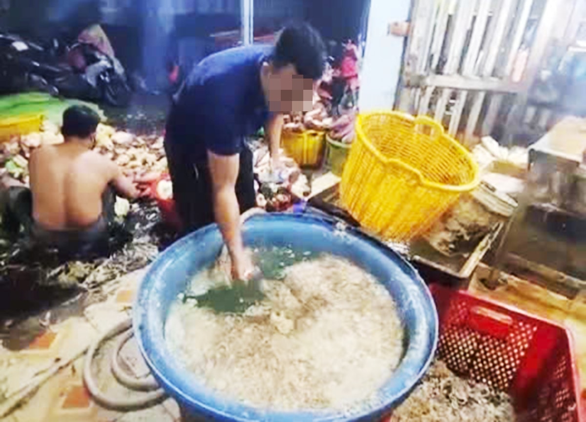 hoa-chuoi-ngam-hoa-chat.jpg