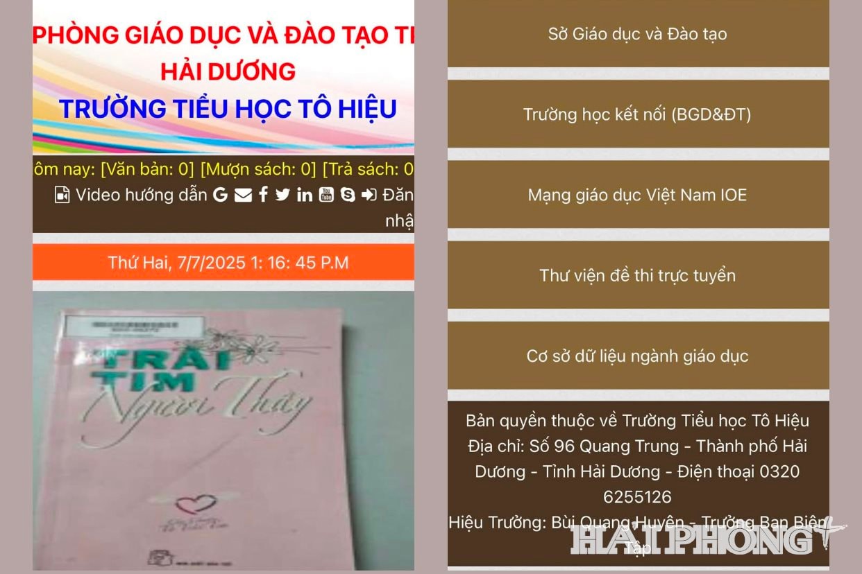 tieu-hoc-to-hieu.jpg