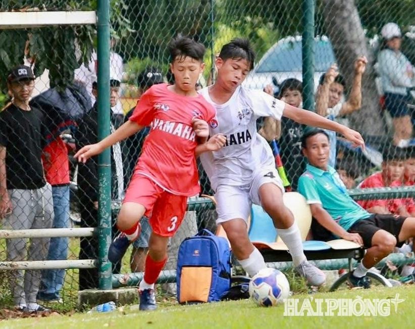 u13-hd(1).jpg