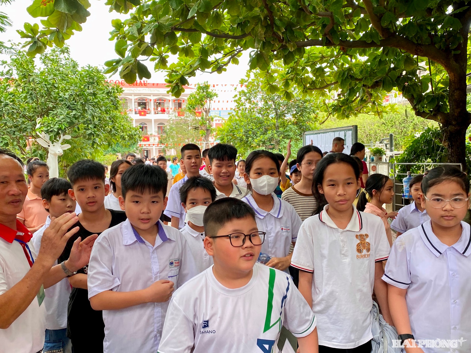 hoc-sinh-lop-5.jpg