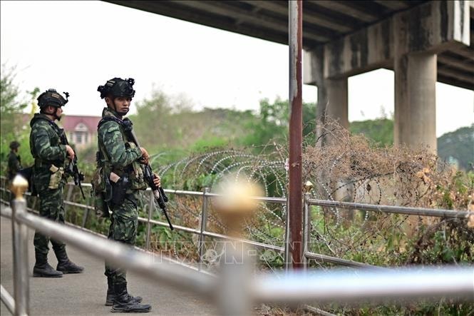 thai-lan-cam.jpg
