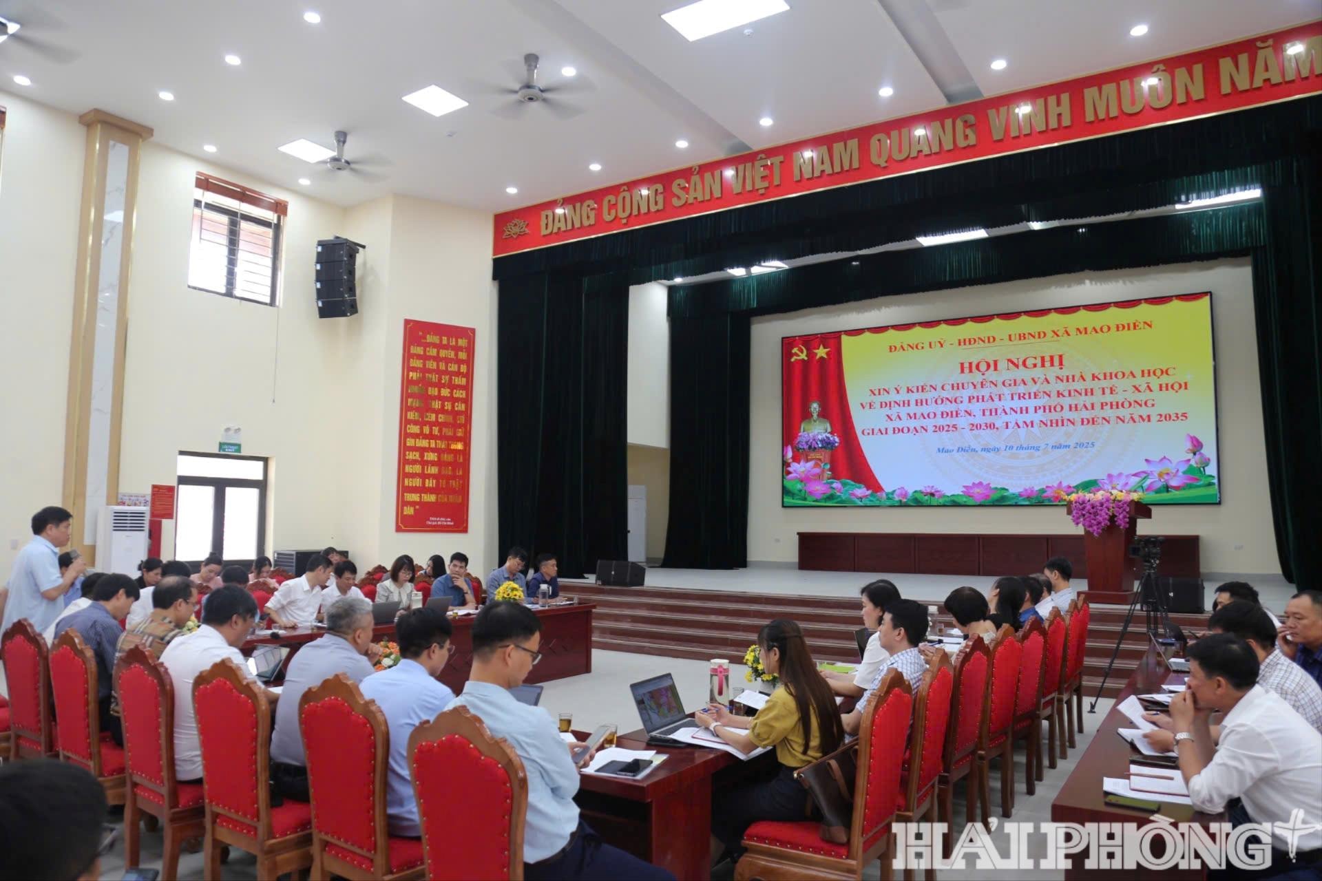 mao-dien(1).jpg