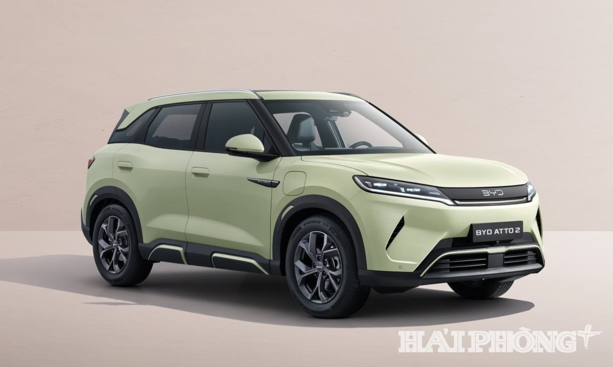 byd-hai-duong-3.jpeg