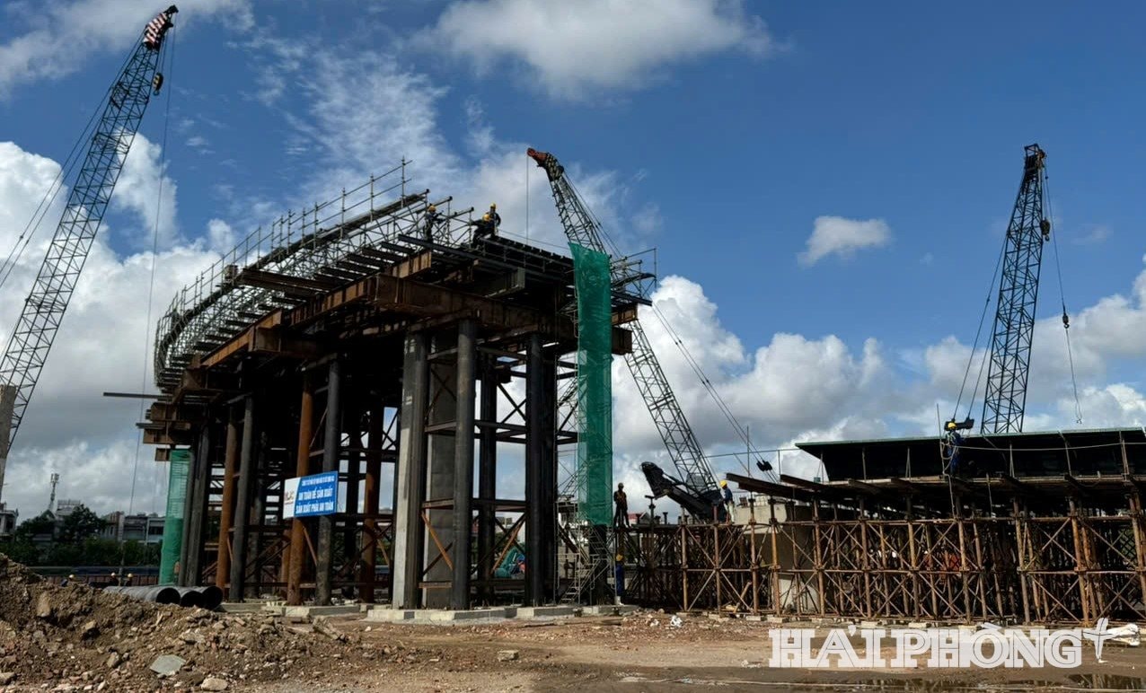 cau-nguyen-trai-1.jpg