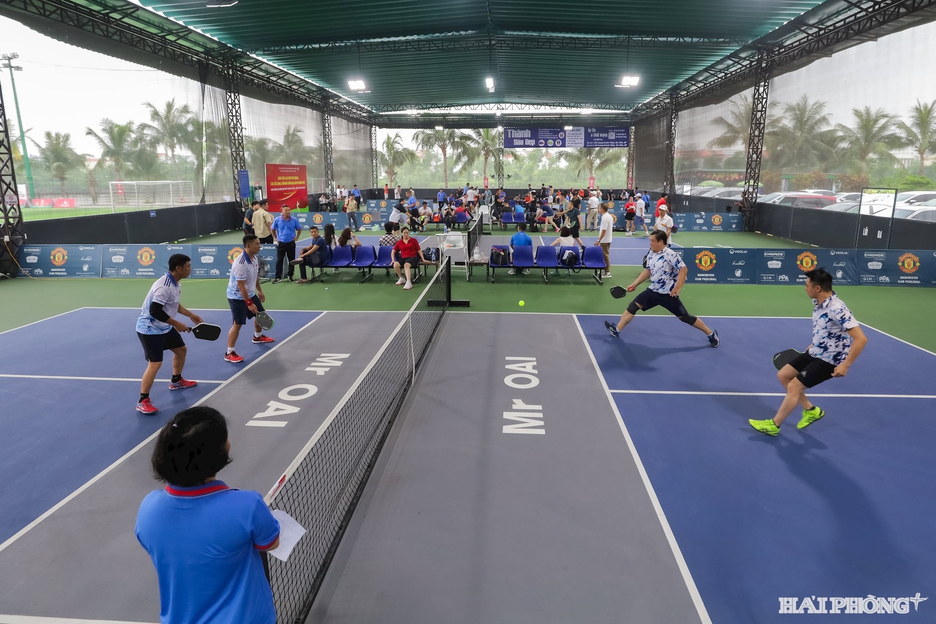 pickleball-3.jpg