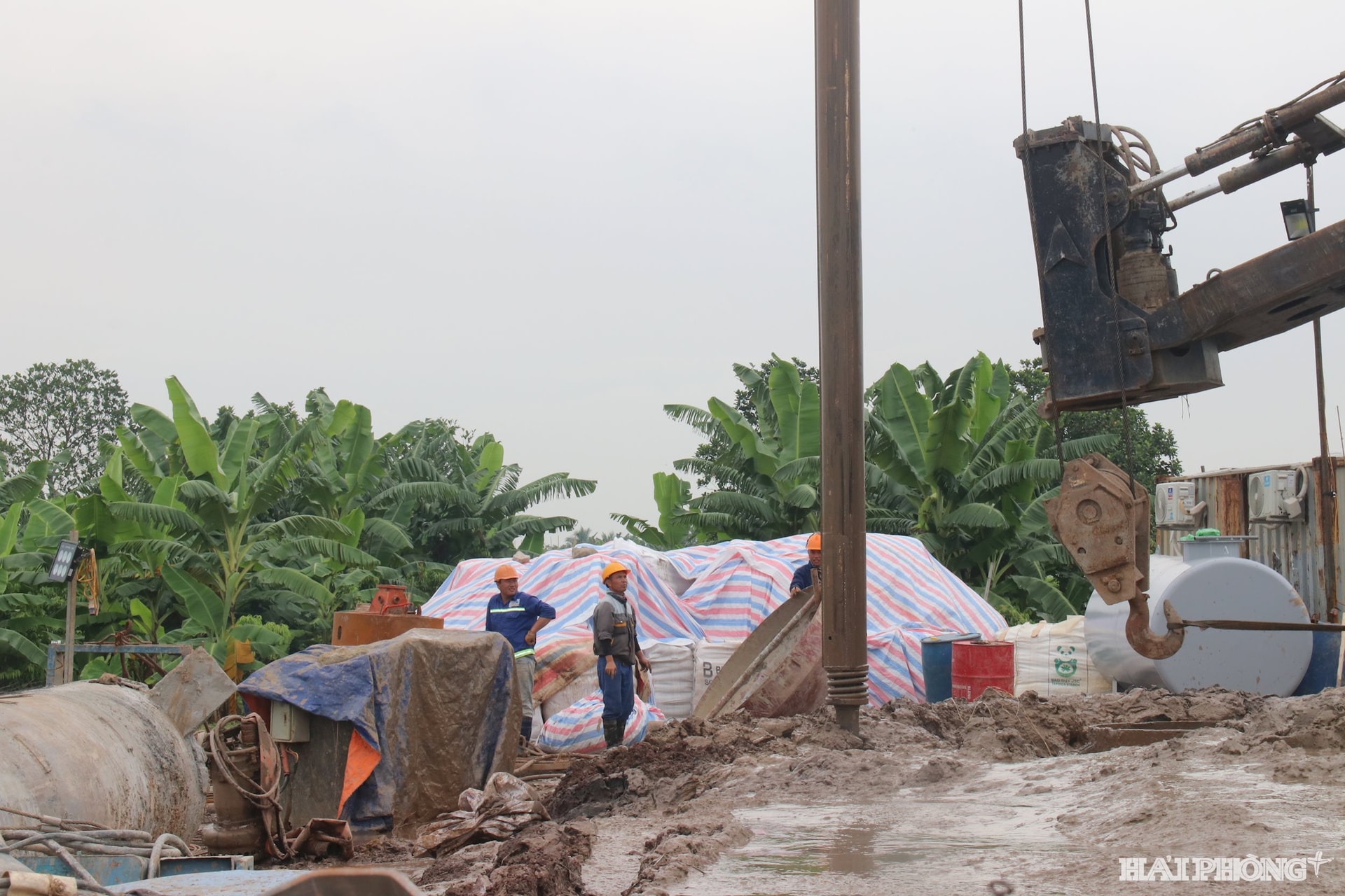 duong-390B (6)