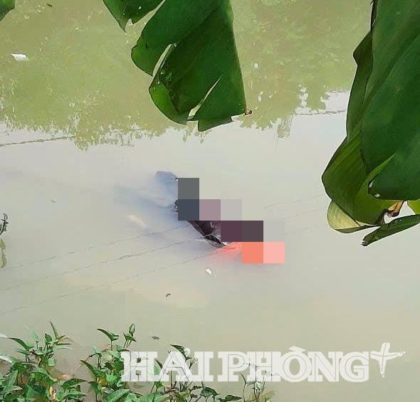 duoi-nuoc-thanh-mien(1).jpeg