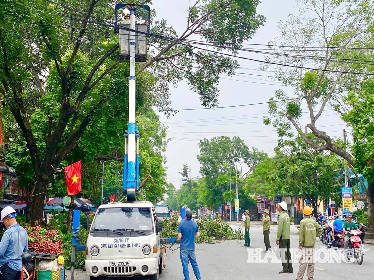 gen-h-dong-hai-phong-1-169d5349ca6aa30c71b34e4b2bef6c82(2).jpg