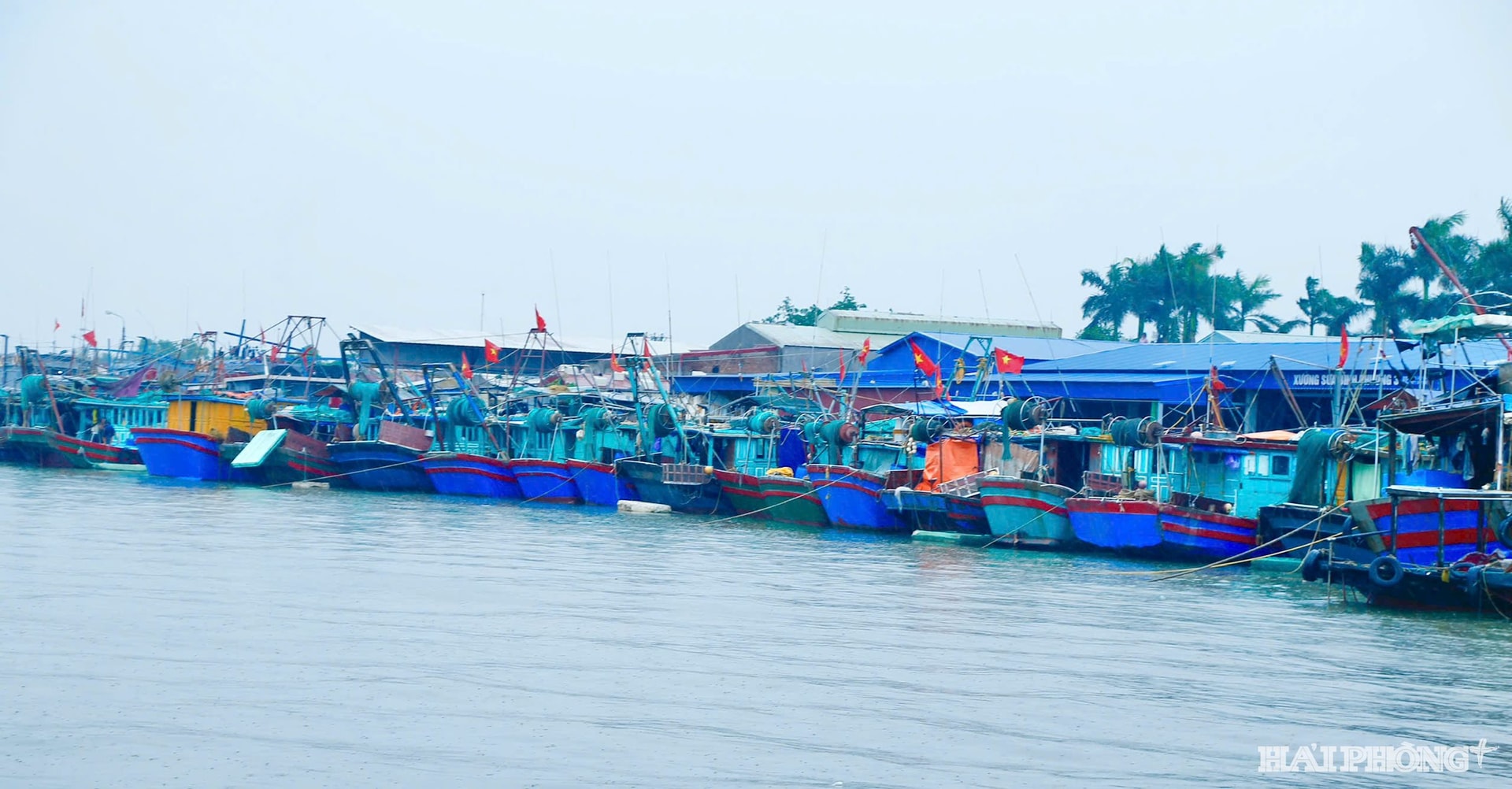 cang-ca.jpg