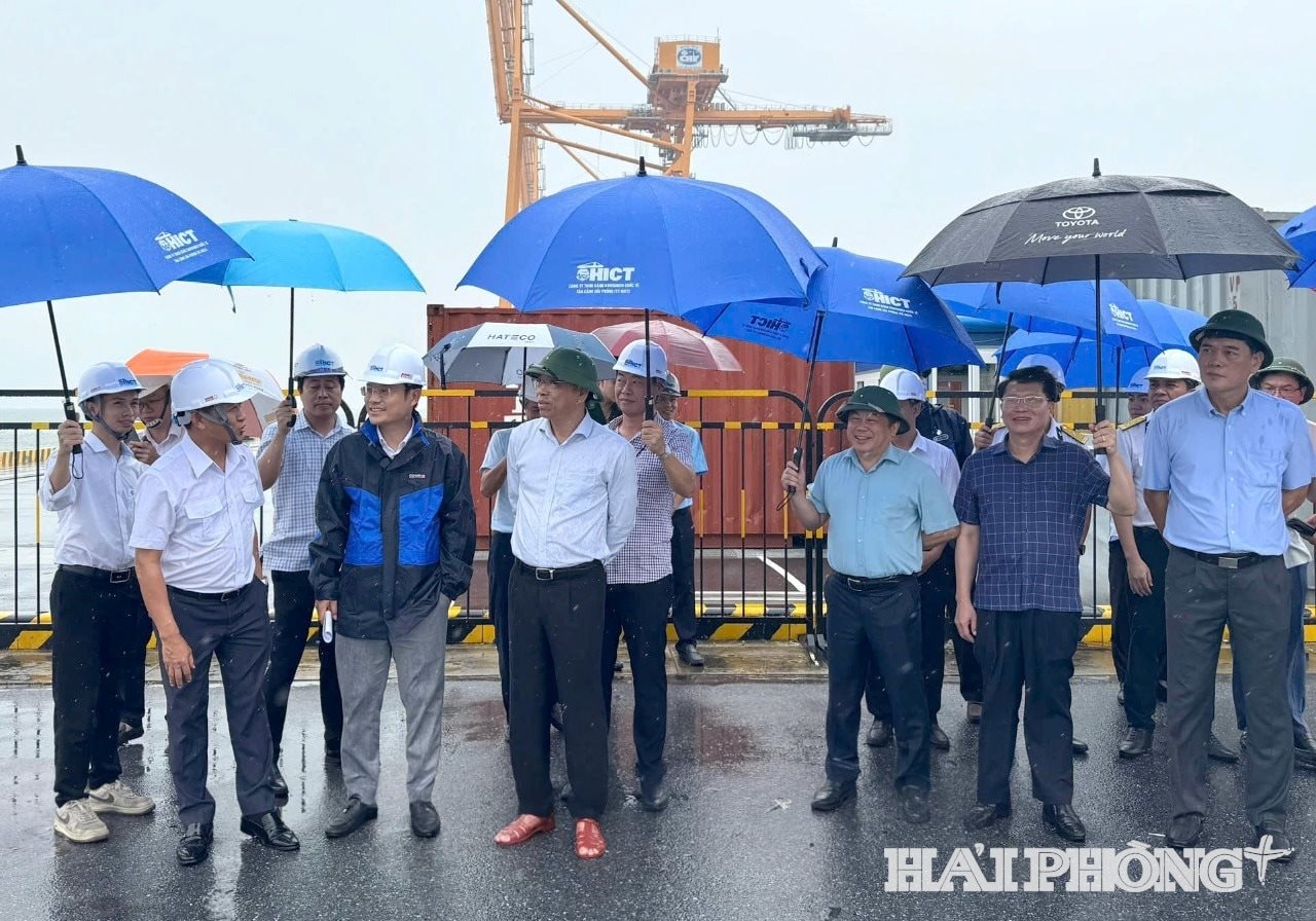 thu-truong-hai-phong.jpeg