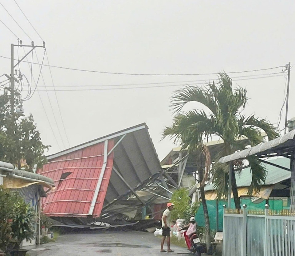 Heavy rain and strong winds collapsed a rice storage warehouse of a local business in Dinh Thanh commune (An Giang province). (Photo: VNA)