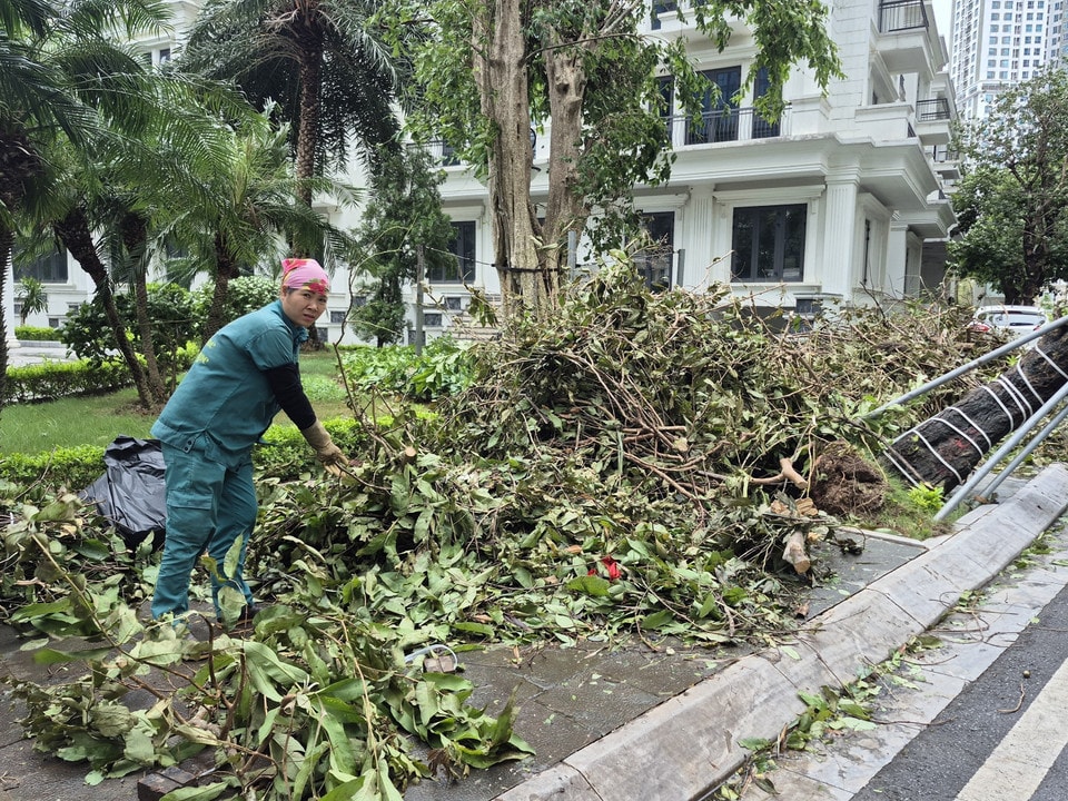 Staff at Sunshine apartment complex in Phu Thuong ward (Hanoi) clear fallen trees and actively prepare for the storm. (Photo: VNA)