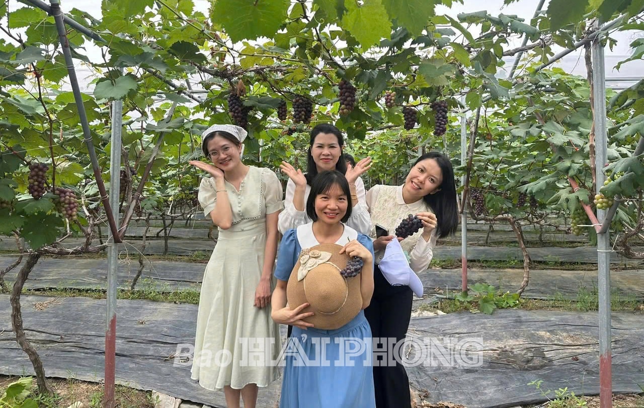 trai-nghiem-vuon-nho.jpg