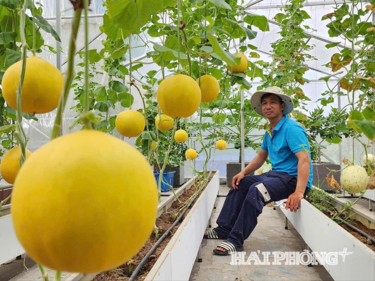 Nhiều bạn trẻ chọn học nghề với sự hỗ trợ của công nghệ