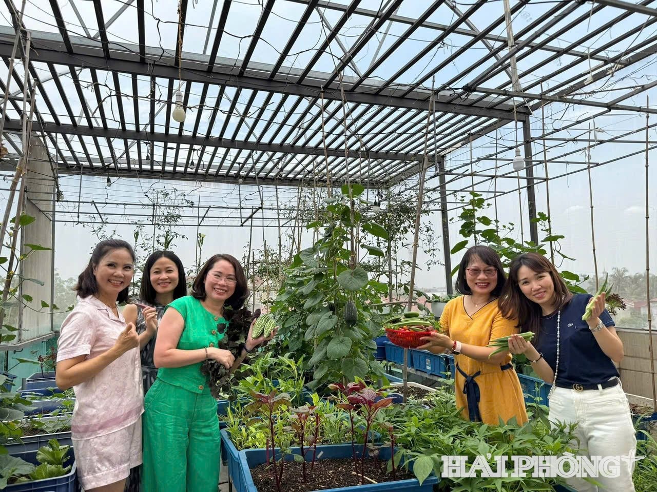 san thuong xanh (4)