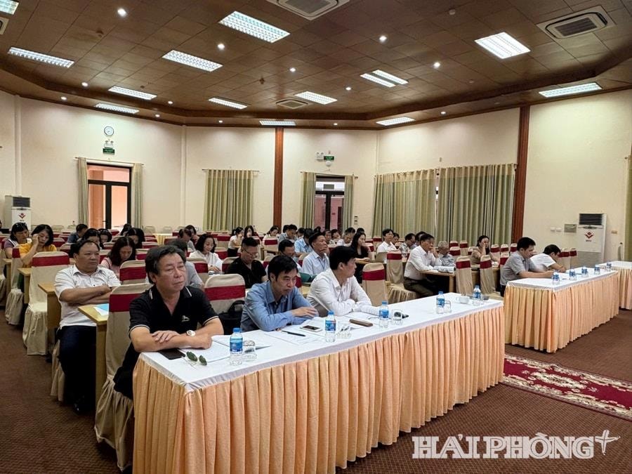លោក Le Hai ប្រធានសមាគមអក្សរសិល្ប៍ និងសិល្បៈទីក្រុង Hai Phong ថ្លែងមតិក្នុងសិក្ខាសាលានេះ។