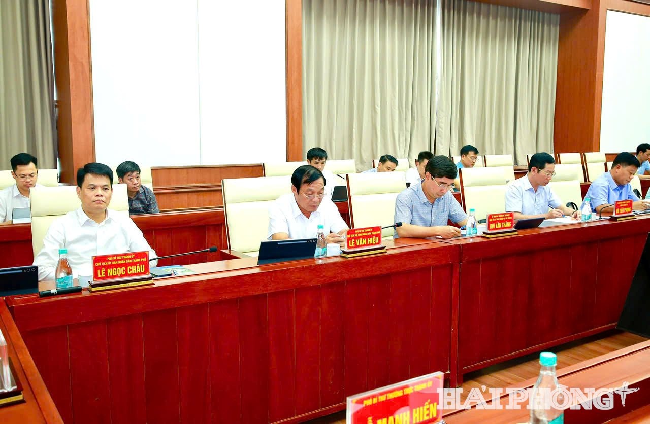 dai-bieu-3.jpg