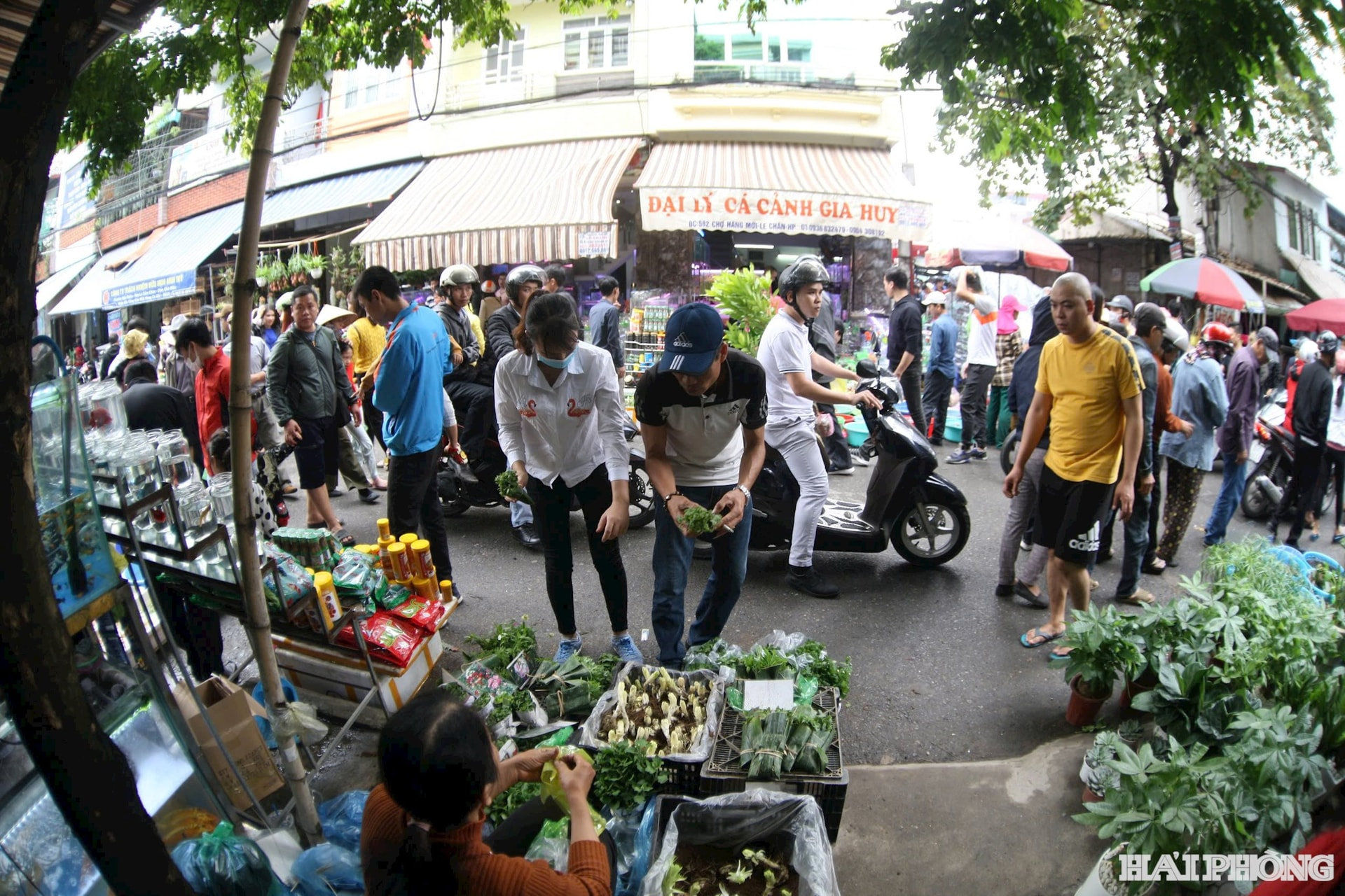cho-hang-4-5f6e837aaabcd63b4476efcba9d164f5.jpg