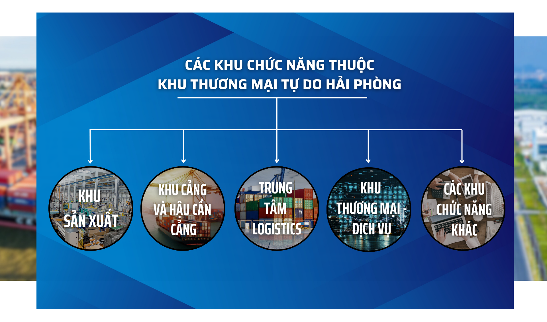 hai-phong-ftz-thuong-mai-tu-do (5)