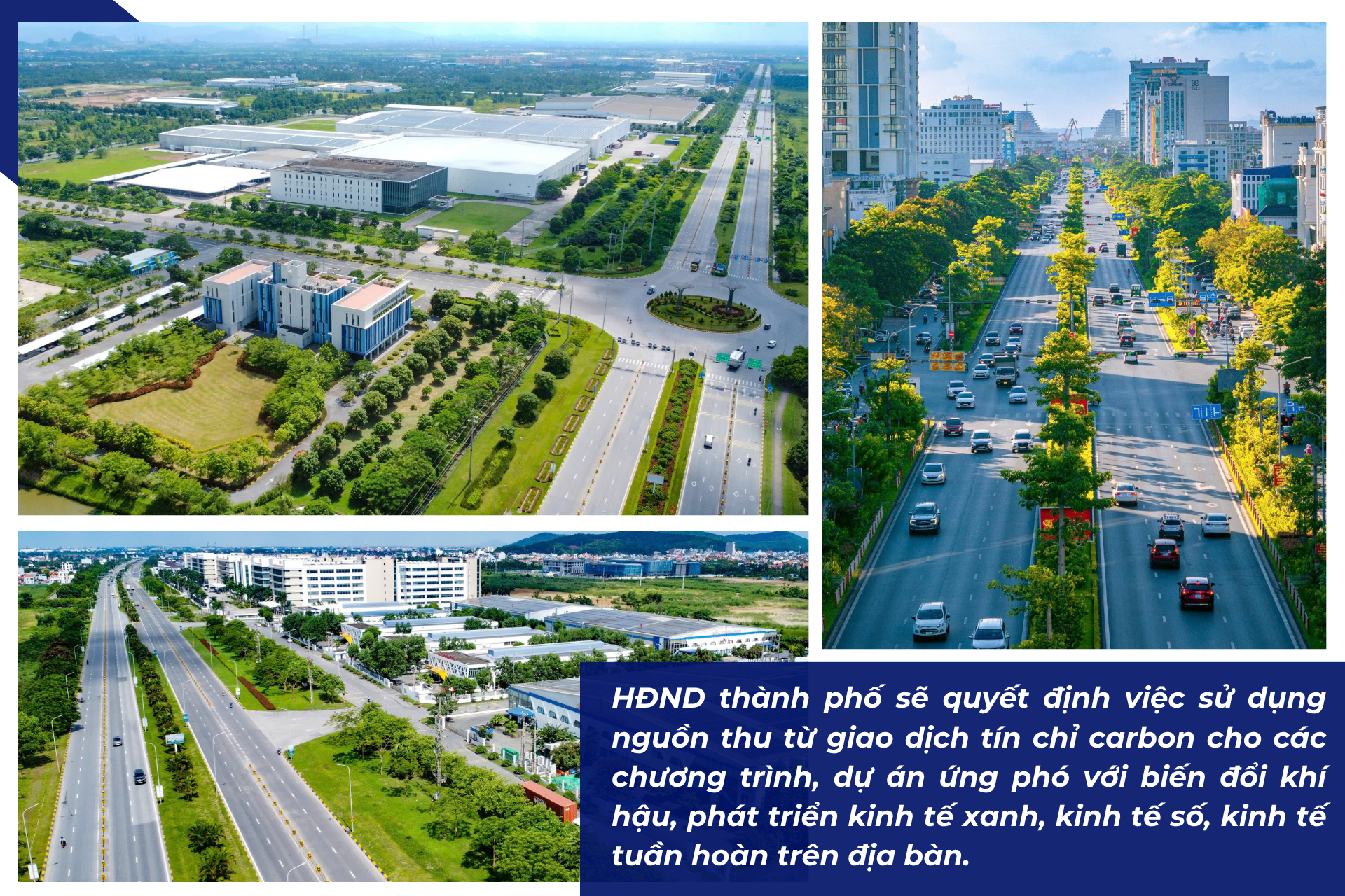 hai-phong-ftz-thuong-mai-tu-do (8)